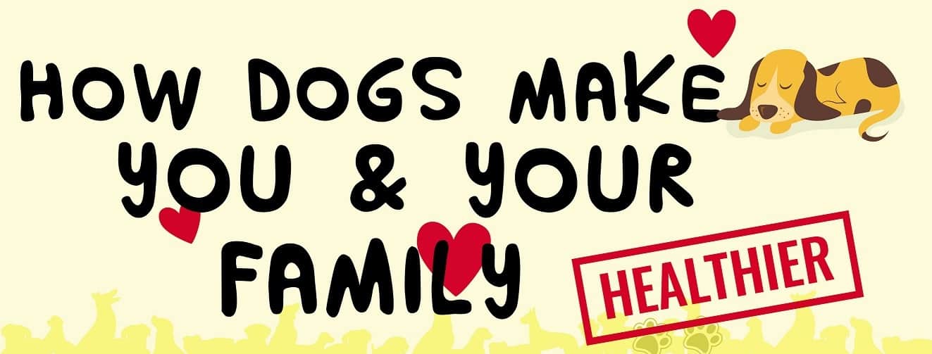 How Dogs Make You Healthier Infographic Dog Food Smart