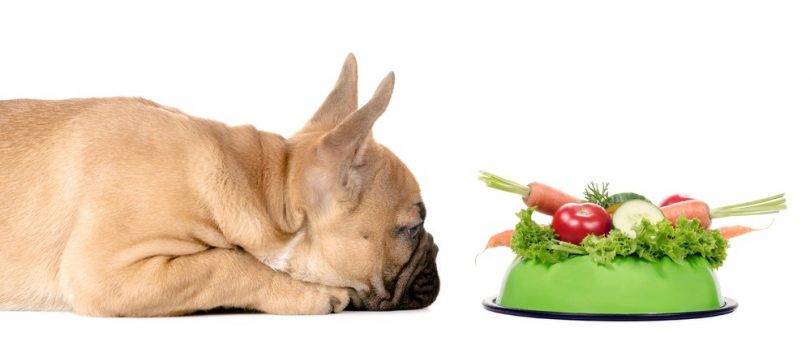 How Much To Feed A French Bulldog Puppy | Feeding Chart