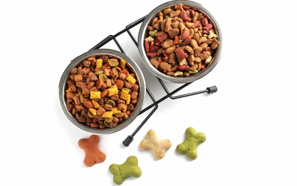 Best Dog Food For Beagle