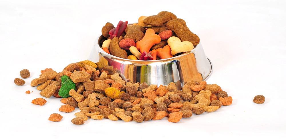 Best Food For Labradoodle Puppy