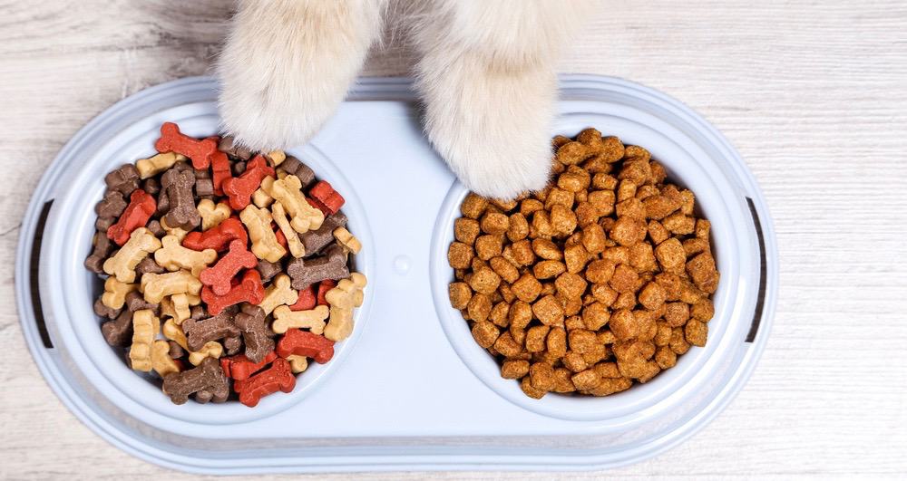 Best Dog Food For Pomeranian 