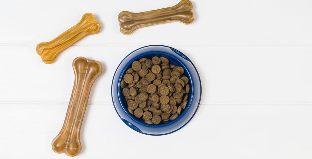 Best Food For Blue Heeler Puppy
