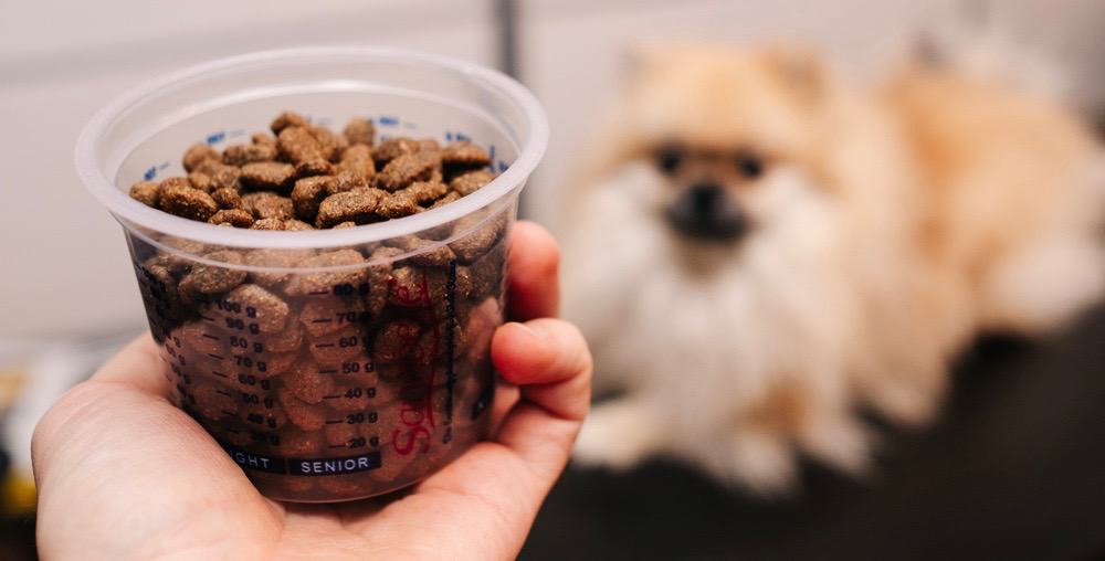 Pomeranian Food