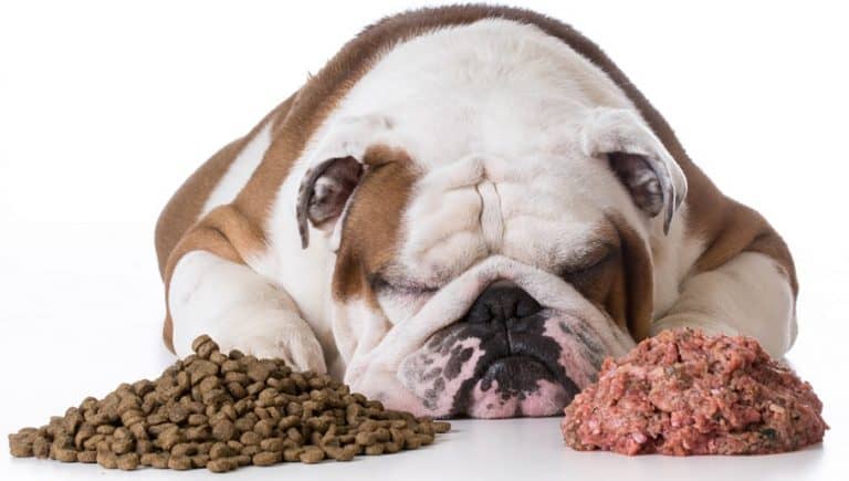 How Much Raw Food To Feed A Dog – Adult & Puppy Raw Food Feeding
