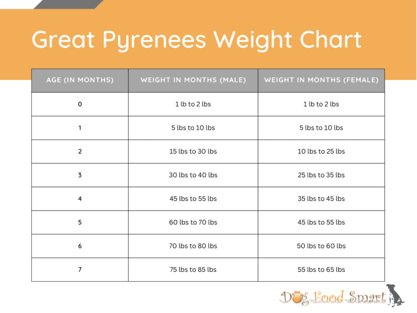 Great Pyrenees Growth Chart Weight & Size Chart