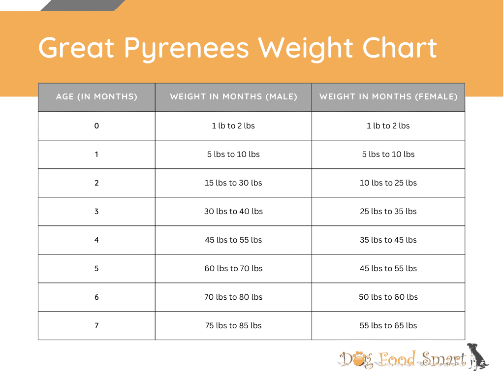 Great Pyrenees Growth Chart Weight & Size Chart