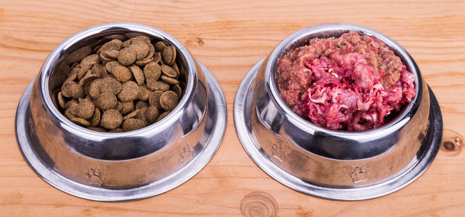 Kibble To Raw Food Transition