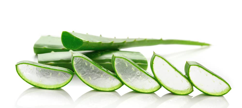 Aloe Vera For Dogs Scabs