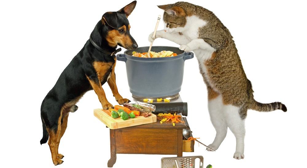 Dog Food Preparation