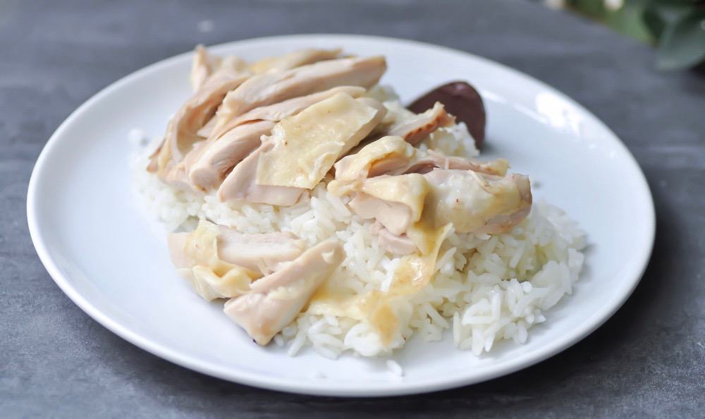 is boiled chicken and rice good for dogs