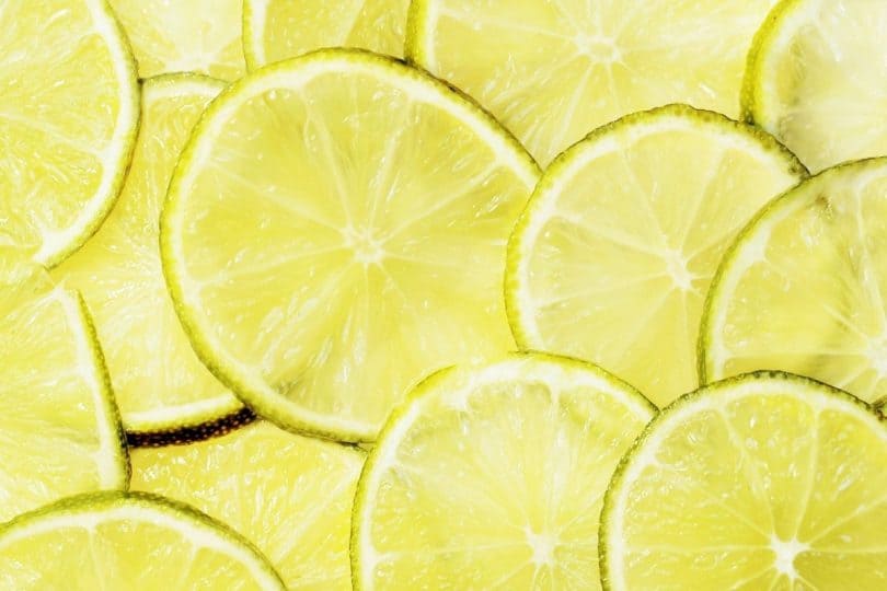 Can Dogs Eat Limes? Is Citrus Toxic To Dogs?