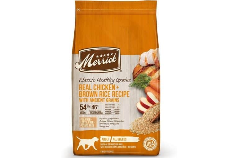 18 Of The Worst Dog Food Brands You Need To Avoid (And 14 Of The Best Brands)