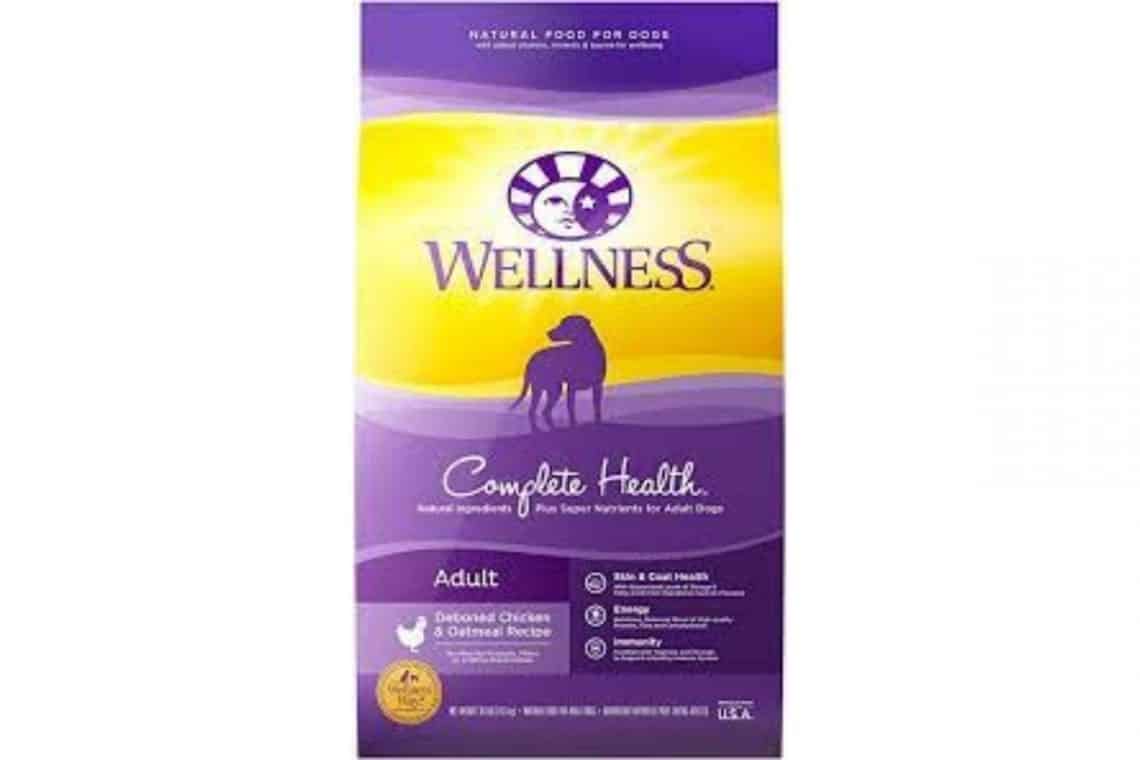 18 Of the Worst Dog Foods Brands You Must Avoid (and 14 Of The Best