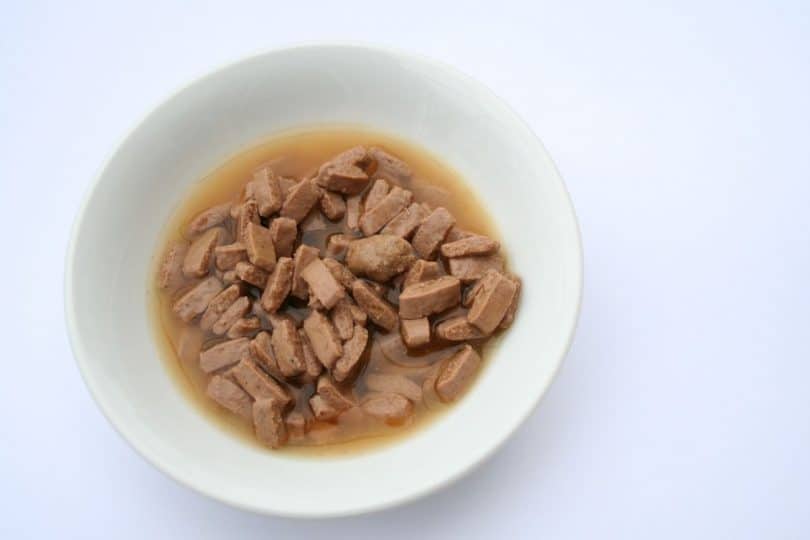 When Should You Start Feeding Puppies Wet Food?