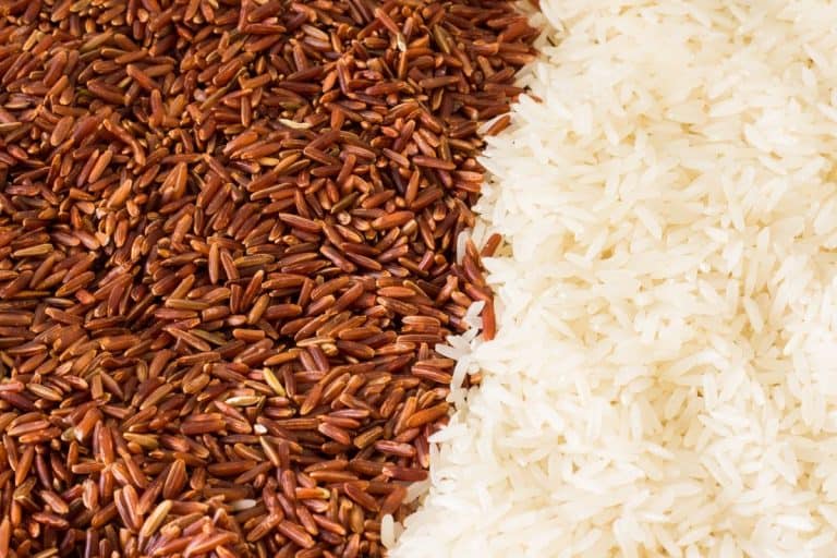 White Or Brown Rice For Dogs: Which Is Better?