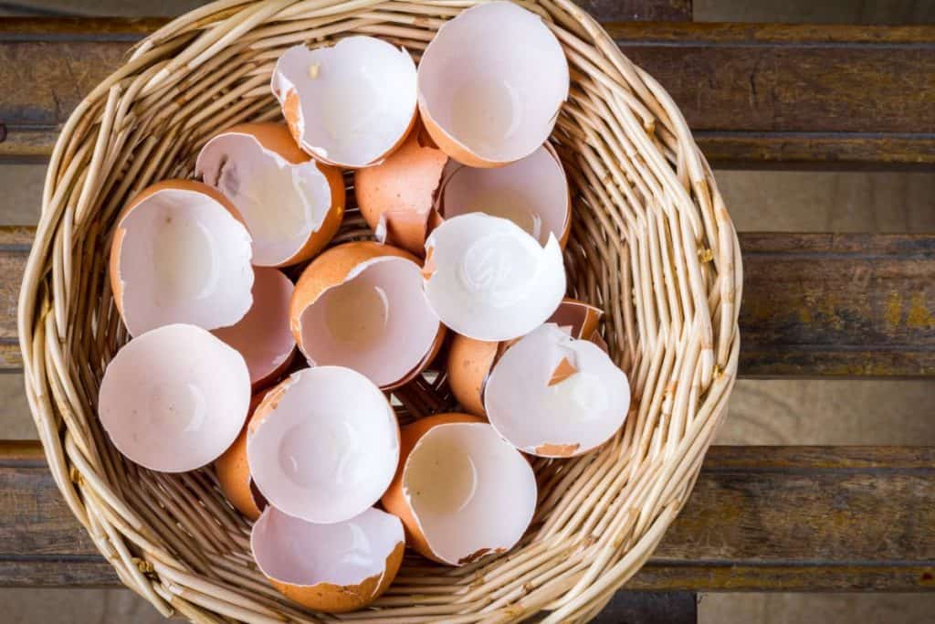 Can Dogs Eat Eggshells? A Complete Guide Dog Food Smart