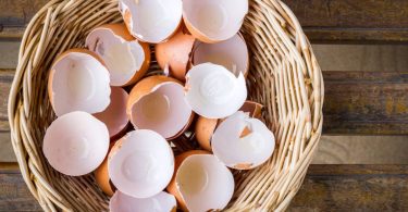 Can Dogs Eat Eggshells?: A Complete Guide