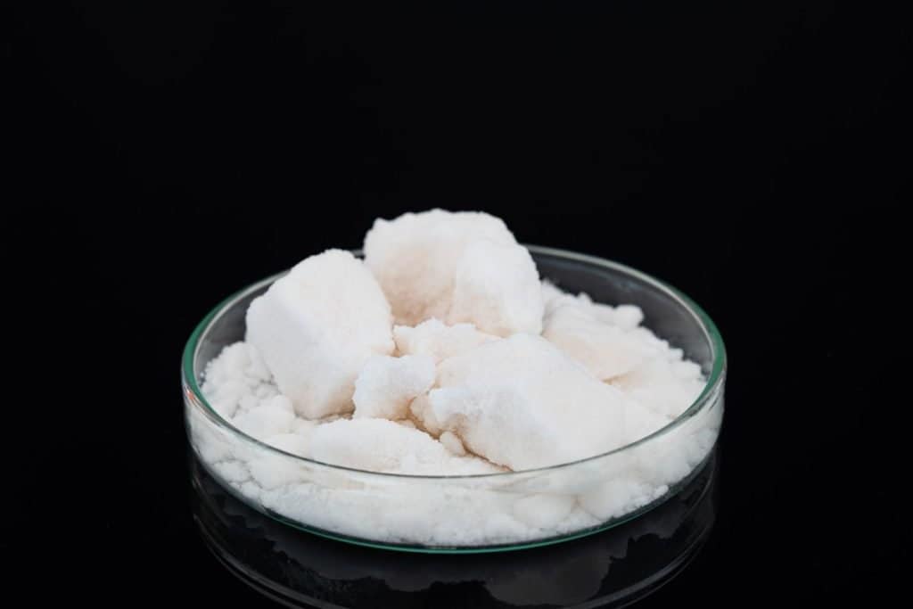 Five ParvoKilling Products Without Bleach Dog Food Smart