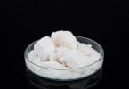 Five Parvo-Killing Products Without Bleach